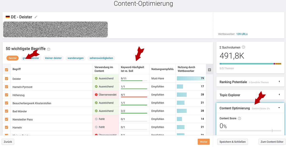 Searchmetrics Content Analyse