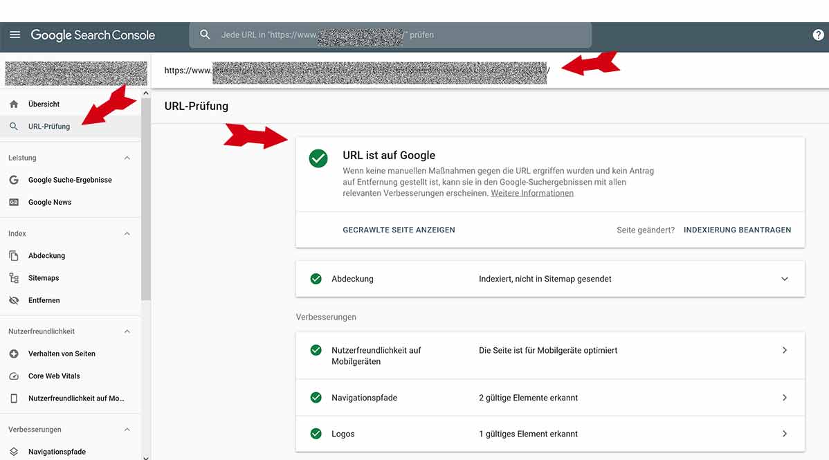 Google Search Console URL-Prüfung